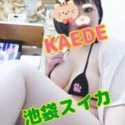 ヒメ日記 2025/03/12 23:07 投稿 かえで スイカ