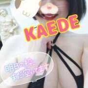 ヒメ日記 2025/03/19 10:47 投稿 かえで スイカ