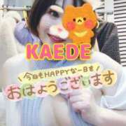 ヒメ日記 2025/03/20 08:32 投稿 かえで スイカ