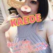 ヒメ日記 2025/03/20 11:59 投稿 かえで スイカ