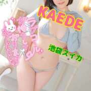 ヒメ日記 2025/03/20 13:54 投稿 かえで スイカ