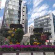 ヒメ日記 2025/03/22 08:54 投稿 かえで スイカ