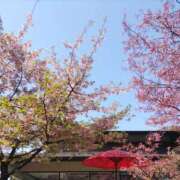 ヒメ日記 2025/03/23 17:03 投稿 かえで スイカ