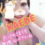 ヒメ日記 2025/03/25 23:09 投稿 かえで スイカ