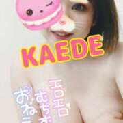 ヒメ日記 2025/03/26 21:46 投稿 かえで スイカ