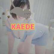 ヒメ日記 2025/03/27 23:04 投稿 かえで スイカ