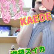 ヒメ日記 2025/03/29 14:48 投稿 かえで スイカ