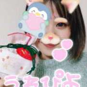 ヒメ日記 2025/03/29 23:44 投稿 かえで スイカ