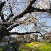 ヒメ日記 2025/03/30 23:57 投稿 かえで スイカ