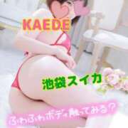 ヒメ日記 2025/04/01 23:05 投稿 かえで スイカ