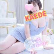 ヒメ日記 2025/04/03 18:52 投稿 かえで スイカ