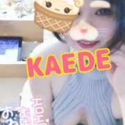 ヒメ日記 2025/04/04 14:45 投稿 かえで スイカ