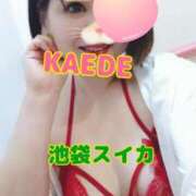 ヒメ日記 2025/04/04 16:52 投稿 かえで スイカ