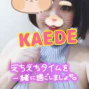 ヒメ日記 2025/04/09 17:49 投稿 かえで スイカ