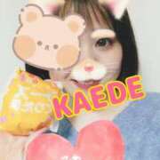 ヒメ日記 2025/04/10 17:11 投稿 かえで スイカ