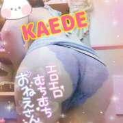 ヒメ日記 2025/04/10 22:58 投稿 かえで スイカ