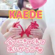 ヒメ日記 2025/04/12 15:52 投稿 かえで スイカ