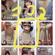 ヒメ日記 2025/04/12 16:16 投稿 かえで スイカ