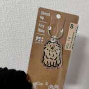 ヒメ日記 2025/04/13 22:23 投稿 かえで スイカ