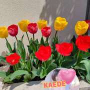 ヒメ日記 2025/04/15 23:37 投稿 かえで スイカ