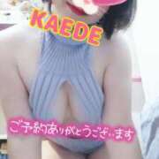 ヒメ日記 2025/04/19 10:30 投稿 かえで スイカ