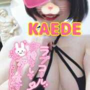 ヒメ日記 2025/04/26 10:38 投稿 かえで スイカ