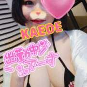 ヒメ日記 2025/04/26 12:57 投稿 かえで スイカ