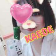 ヒメ日記 2025/04/28 22:05 投稿 かえで スイカ