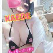 ヒメ日記 2025/04/29 18:31 投稿 かえで スイカ