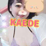 ヒメ日記 2025/05/03 17:49 投稿 かえで スイカ