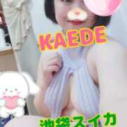 ヒメ日記 2025/05/06 13:09 投稿 かえで スイカ