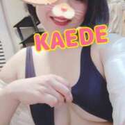 ヒメ日記 2025/05/10 16:00 投稿 かえで スイカ