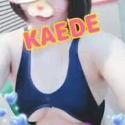 ヒメ日記 2025/05/14 21:28 投稿 かえで スイカ