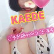 ヒメ日記 2025/05/20 22:41 投稿 かえで スイカ