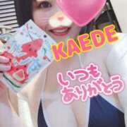 ヒメ日記 2025/05/26 23:11 投稿 かえで スイカ