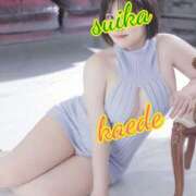 ヒメ日記 2025/06/08 18:41 投稿 かえで スイカ