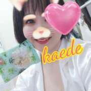 ヒメ日記 2025/06/14 23:04 投稿 かえで スイカ