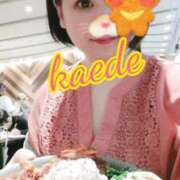 ヒメ日記 2025/06/17 23:35 投稿 かえで スイカ