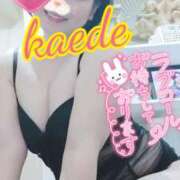 ヒメ日記 2025/06/20 22:56 投稿 かえで スイカ