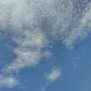 ヒメ日記 2025/06/24 12:49 投稿 かえで スイカ