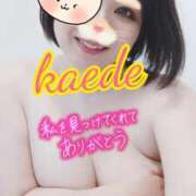 ヒメ日記 2025/06/28 08:44 投稿 かえで スイカ