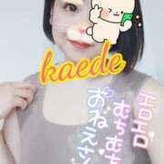 ヒメ日記 2025/06/29 21:40 投稿 かえで スイカ