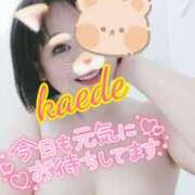 ヒメ日記 2025/07/05 09:22 投稿 かえで スイカ