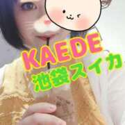 ヒメ日記 2025/07/13 16:43 投稿 かえで スイカ