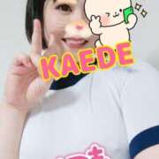 ヒメ日記 2025/07/14 12:44 投稿 かえで スイカ