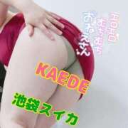 ヒメ日記 2025/07/14 22:04 投稿 かえで スイカ