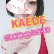 ヒメ日記 2025/07/16 14:09 投稿 かえで スイカ