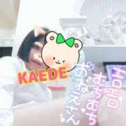 ヒメ日記 2025/07/16 21:13 投稿 かえで スイカ