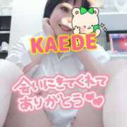 ヒメ日記 2025/07/19 11:46 投稿 かえで スイカ