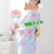 ヒメ日記 2025/07/22 21:28 投稿 かえで スイカ